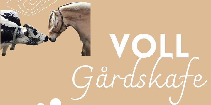 Bilde/illustrasjon for Voll gårskafé Voll gårskafé